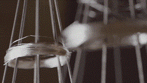 1747027801135997.gif