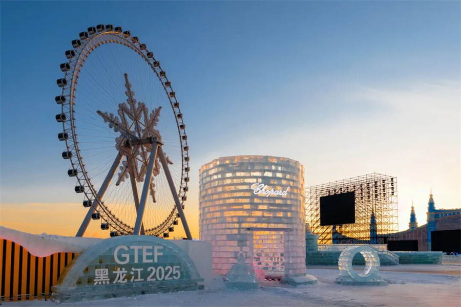 1766386128893770.jpg 5.jpg